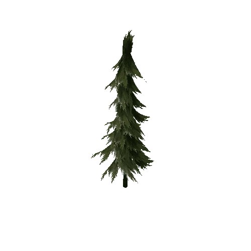 Pine (Type 1) Large 2
